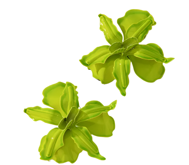 FLOWER LIME Earrings