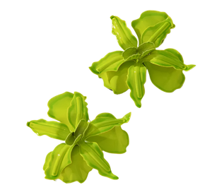 FLOWER LIME Earrings