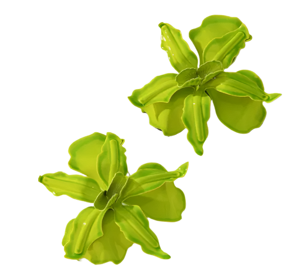 FLOWER LIME Earrings